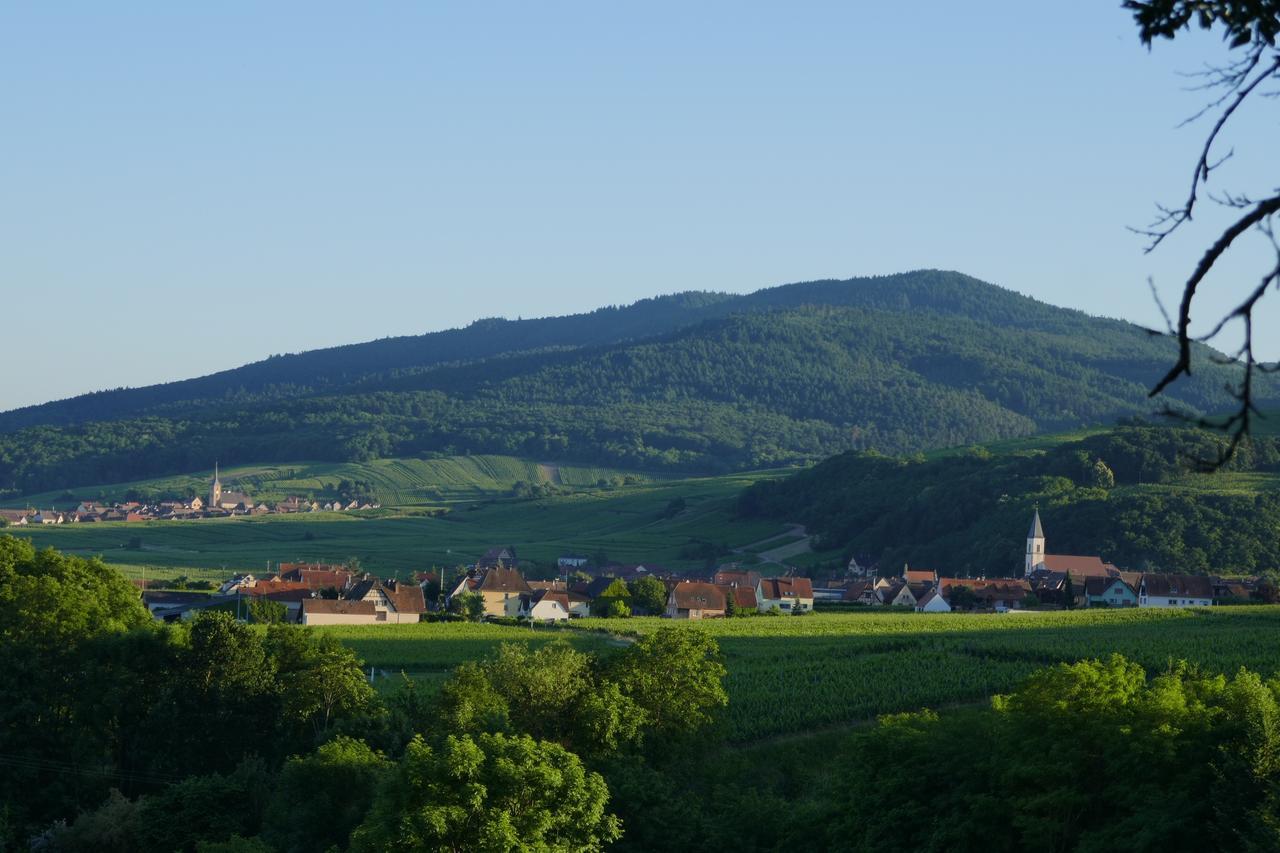 Gite Les Cepages Itterswiller Exterior foto